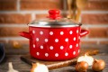 Garnek-emalia-ze-szklana-pokrywka-22-cm-5-0l-czerwony-Dots-on-red-Marka-Metalac.jpg